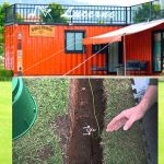 Grounding-and-earthing-shipping-container-home