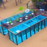 Playground Container Pool
